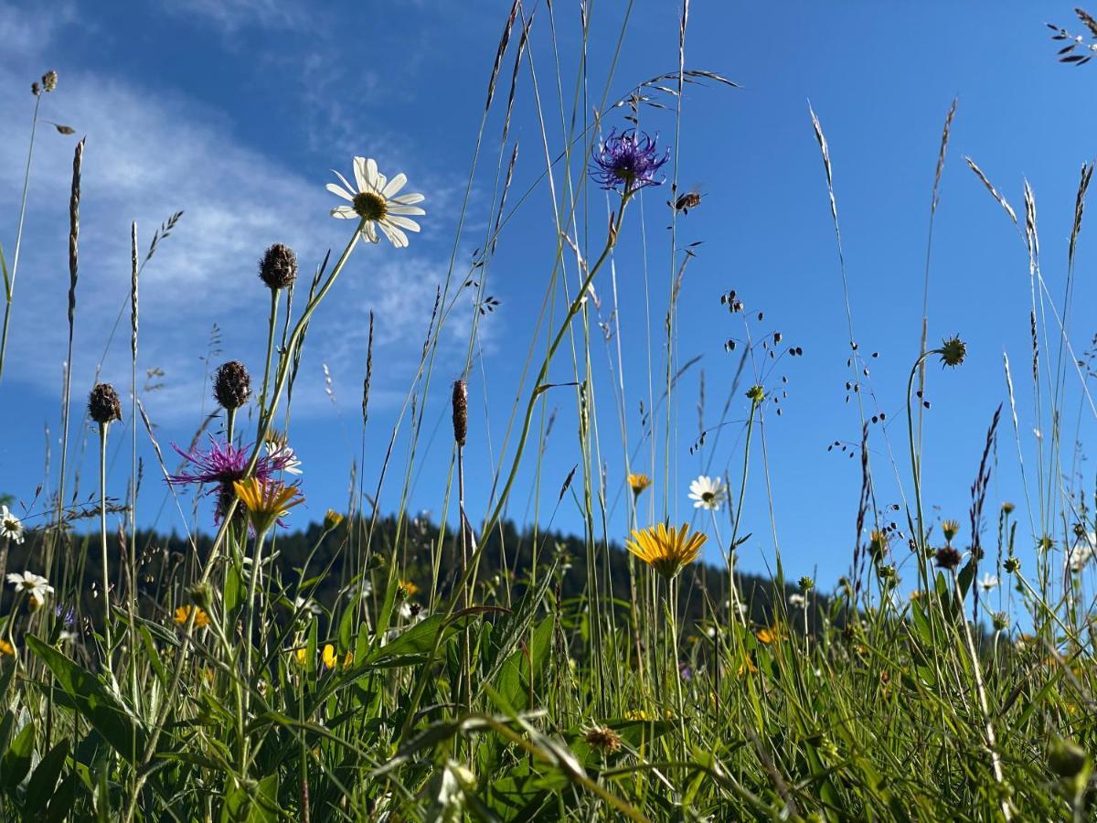 Alpenhof Kruen Hotel Luaran gambar
